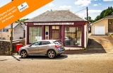 Lot 50
